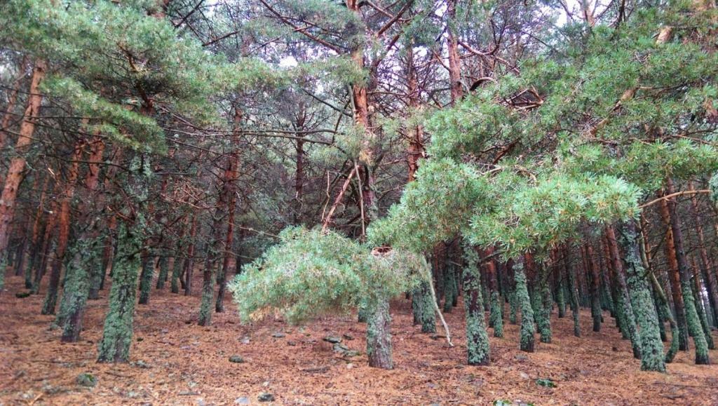 Holiday home Casa Sierra Norte Madrid Lozoya
